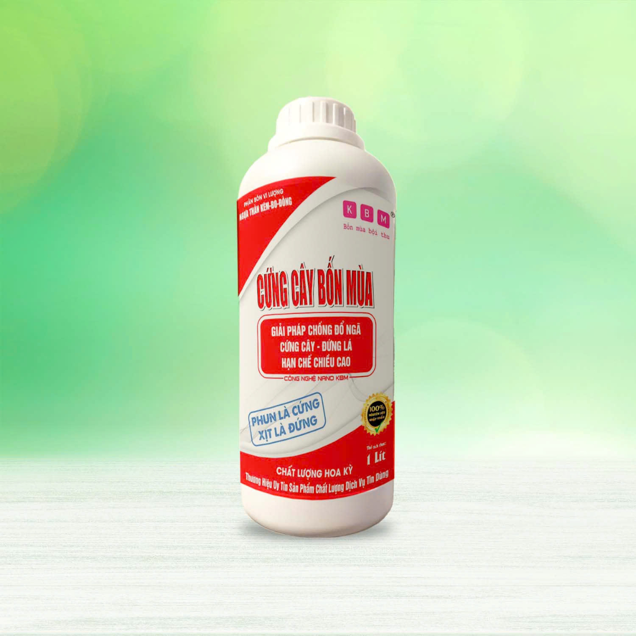 CỨNG CÂY BỐN MÙA